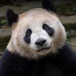 San Diego Zoo