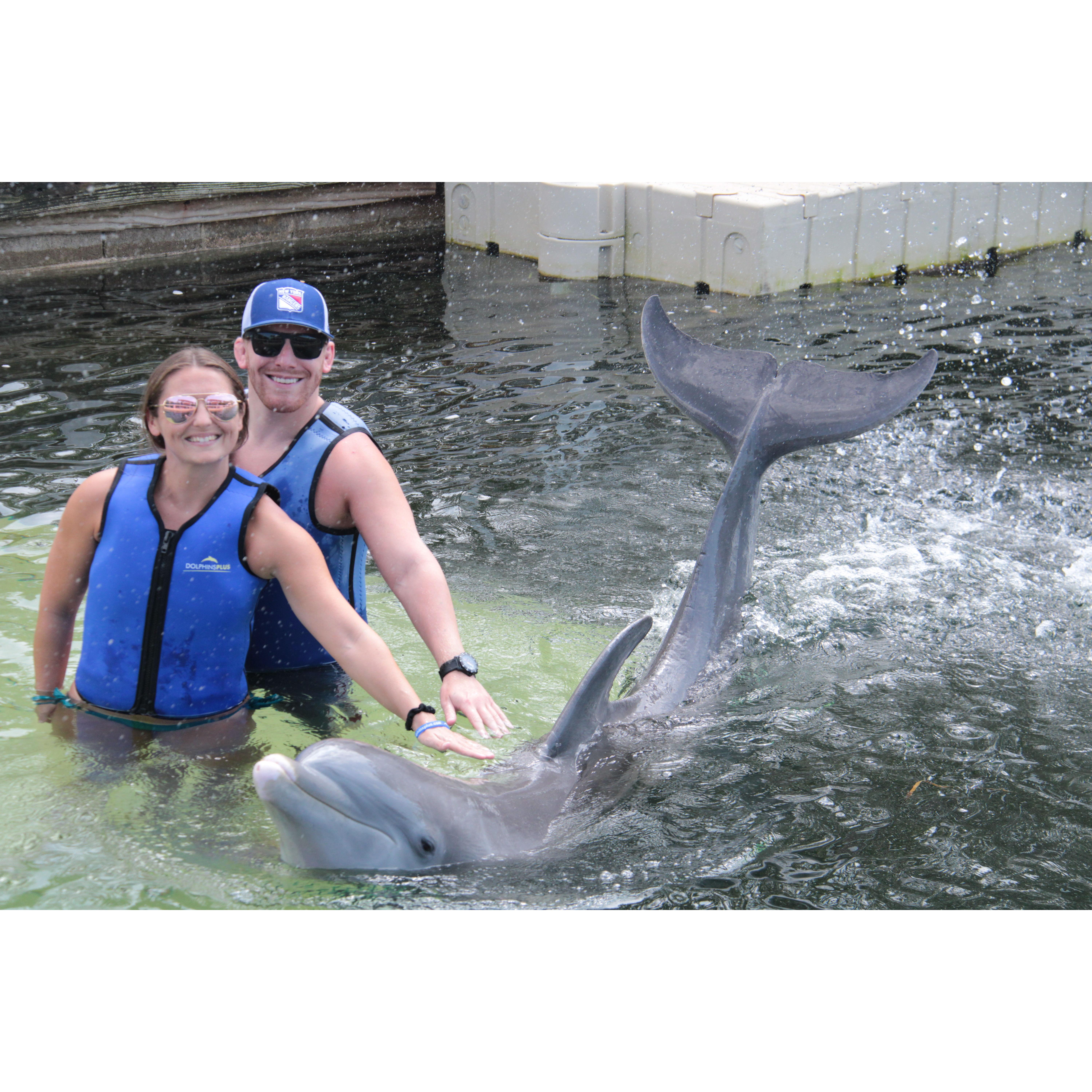 A dolphin encounter in the Keys (Asher's gift to Natasha)