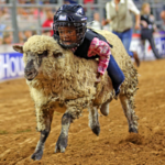 Houston Livestock Show and Rodeo