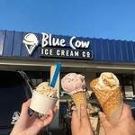 Blue Cow Ice Cream Co.