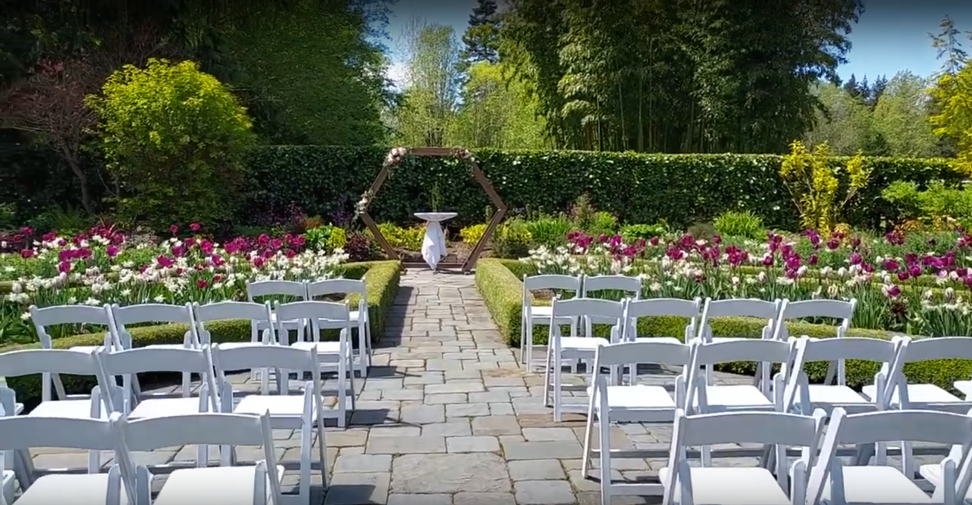 The Wedding Website of Josh Cohen and Talia Shulman