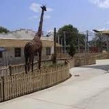 Chattanooga Zoo