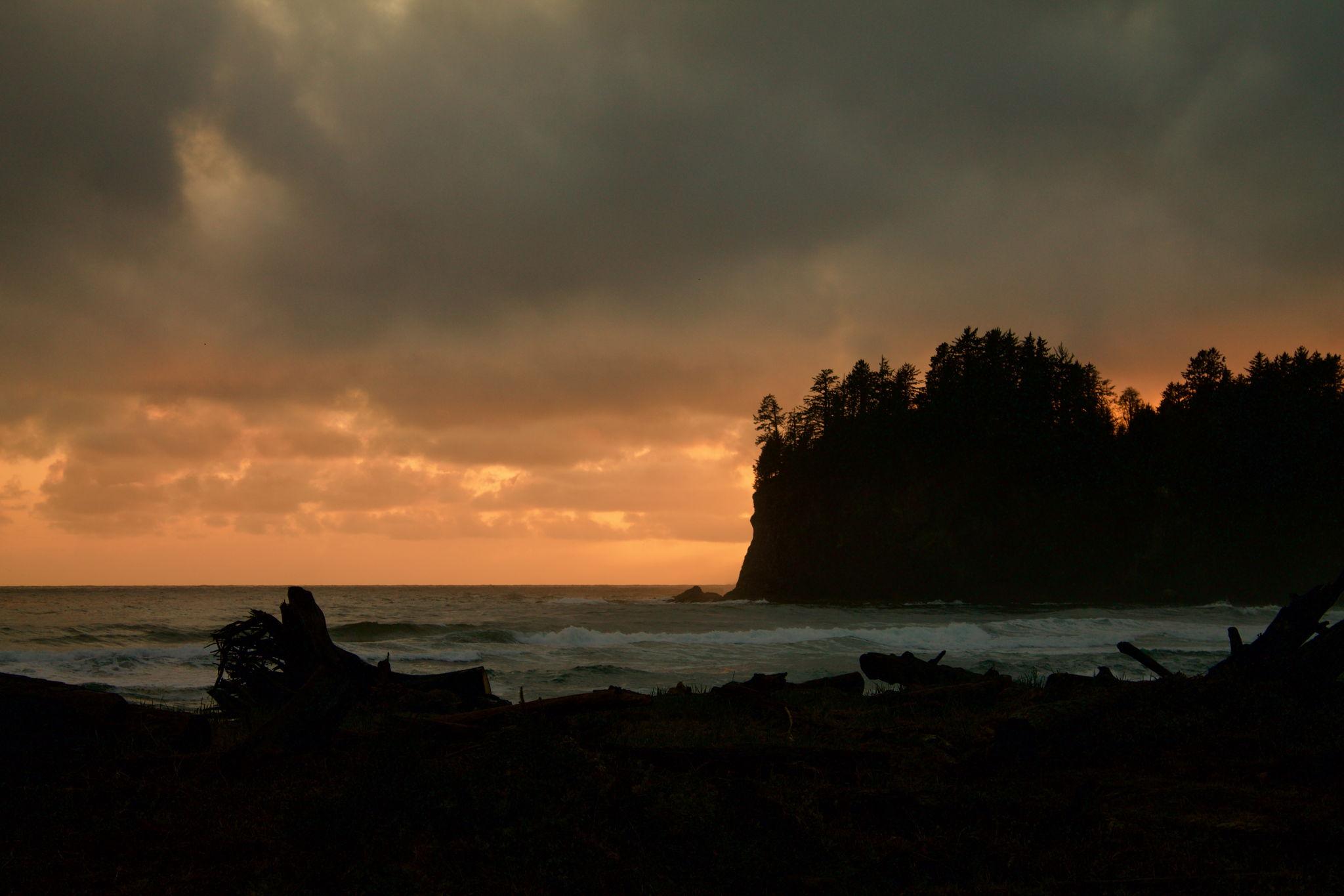 The Wedding Website of Noelle Elizabeth Beecroft and Cody Lee Garrington