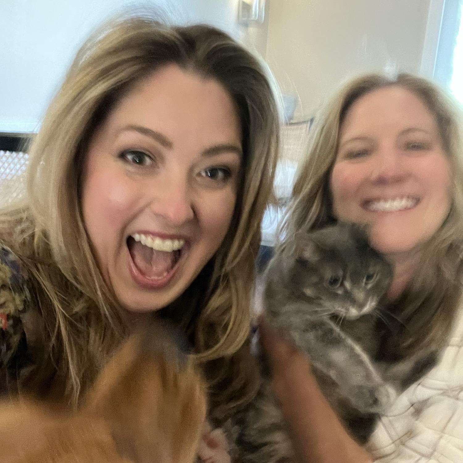 Family Photo (Pippa asks you to kindly send help)!
Chicago 2023