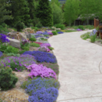 Betty Ford Alpine Gardens