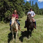 Sprucedale Guest Ranch