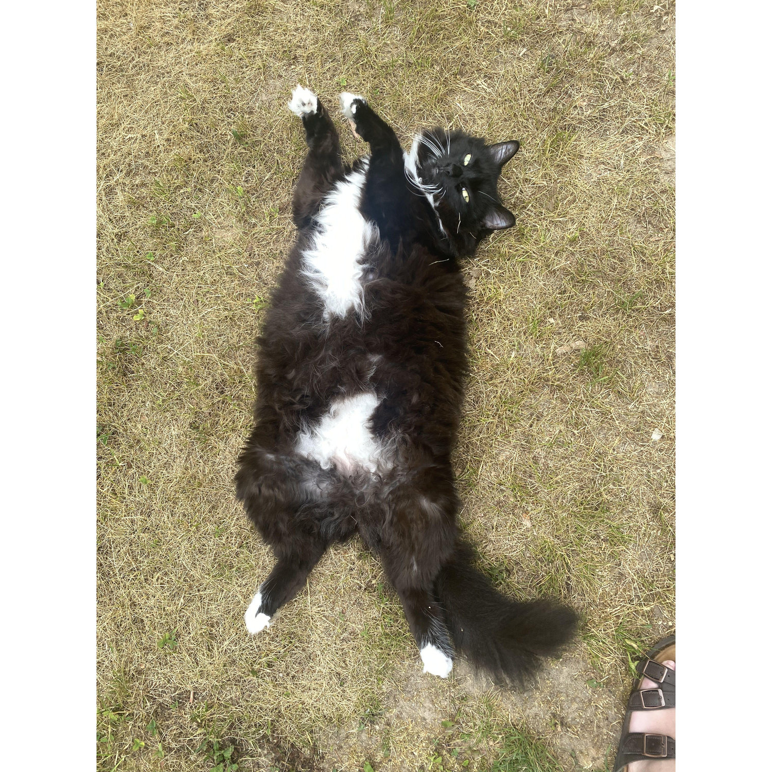She loves outside time!