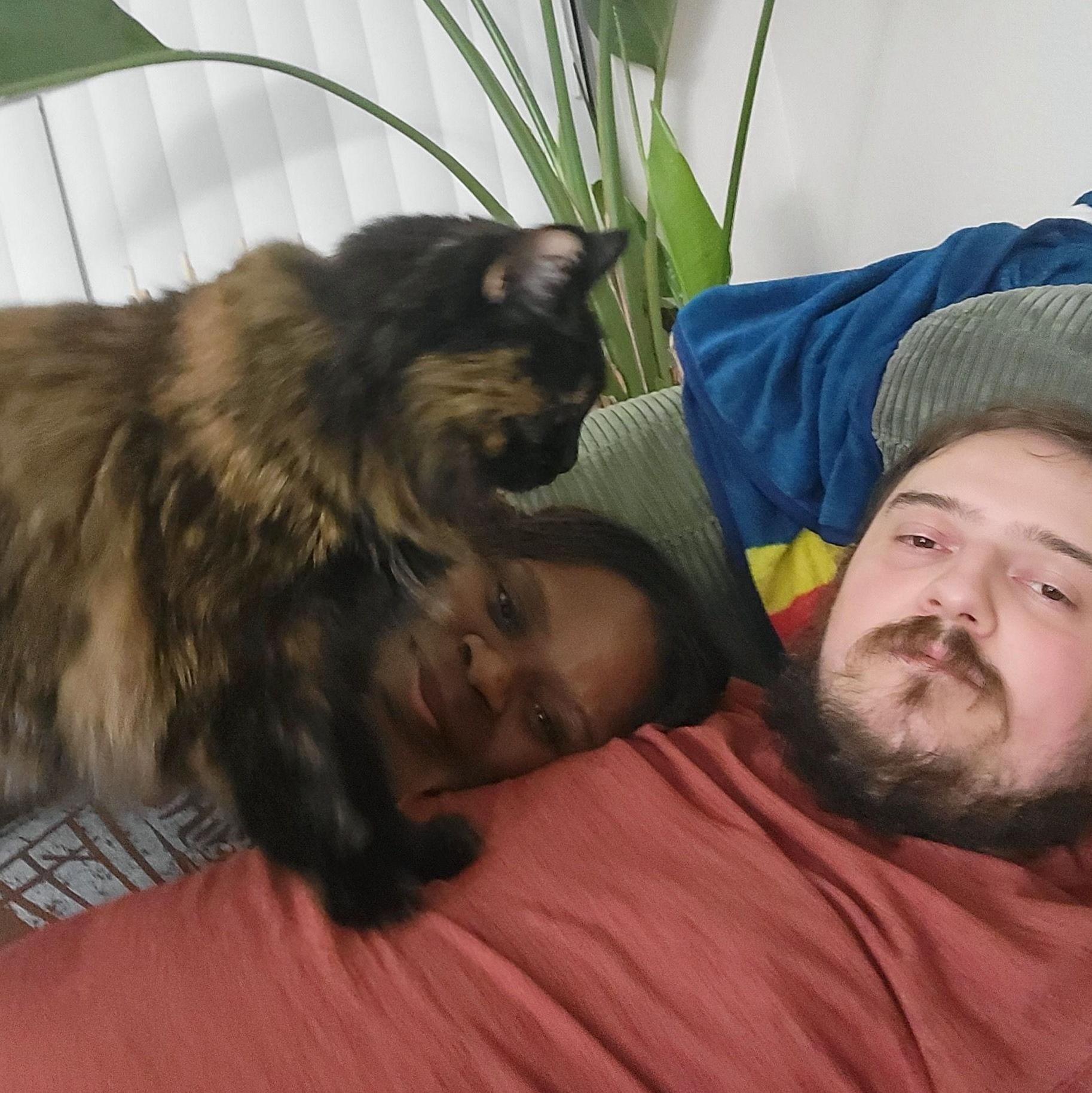 Ellen interrupts cuddle time