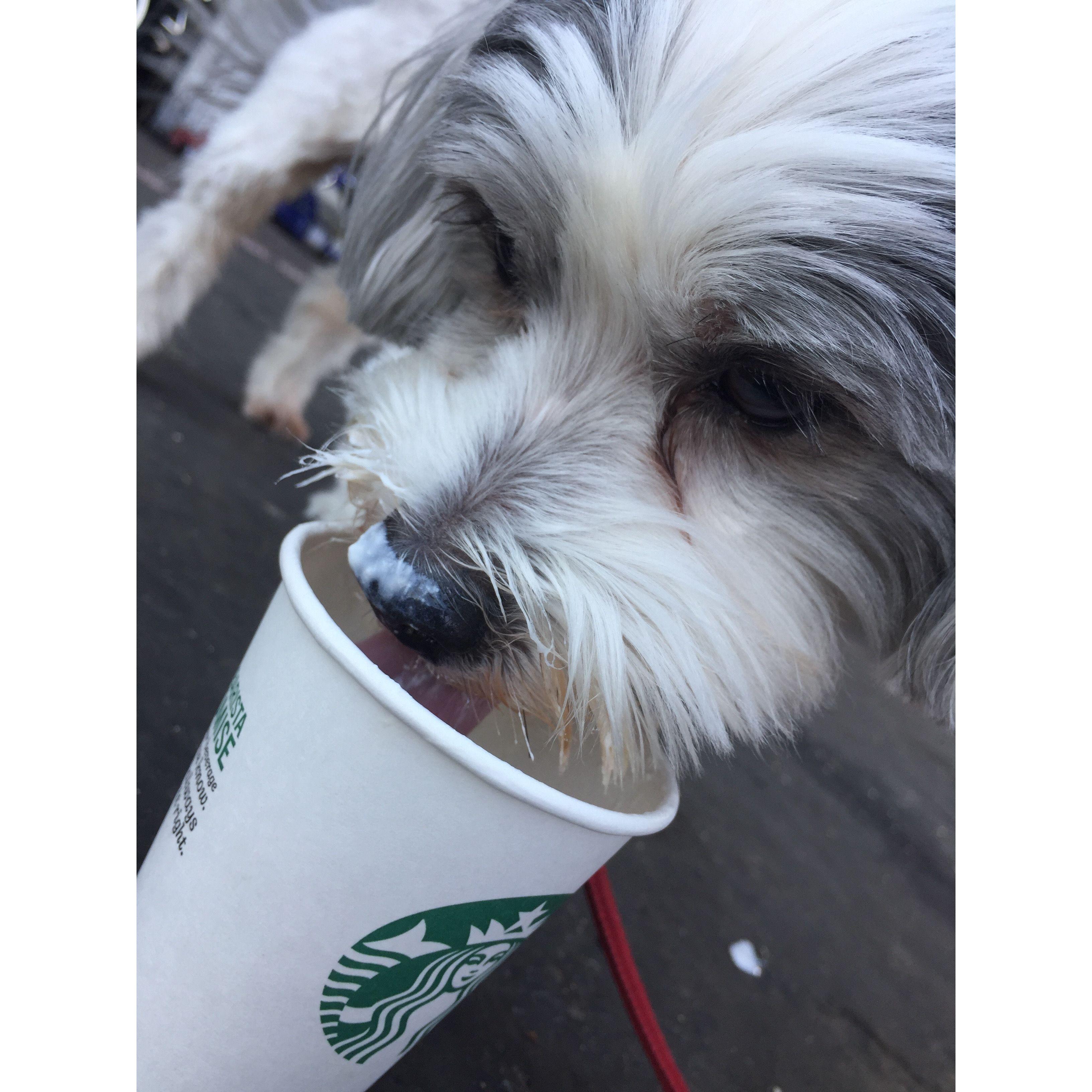 Whiskey and a pupper-cup