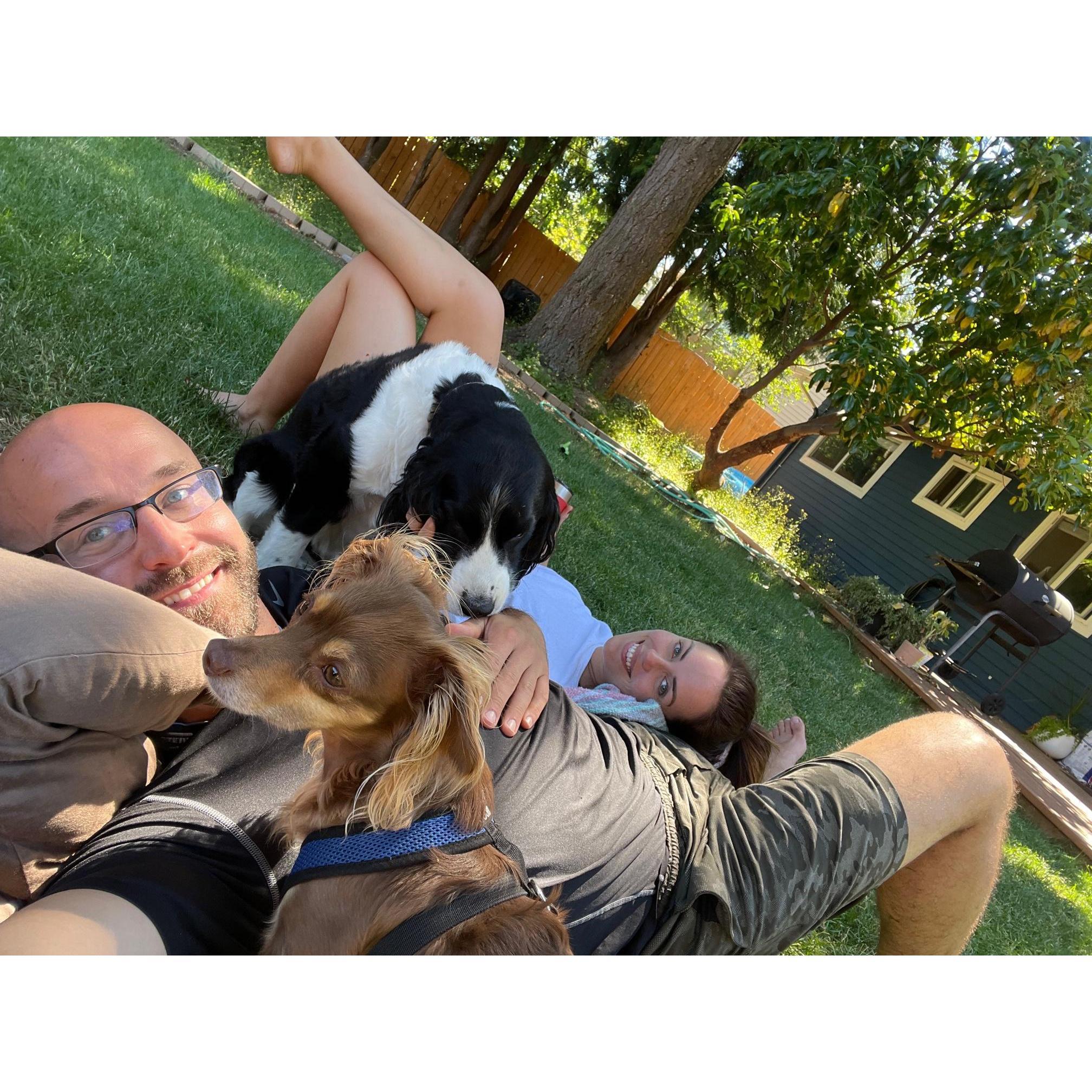 Our favorite summer activity- lounging in our back yard with the dogs