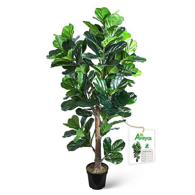 Aveyas 6ft Artificial Fiddle Leaf Fig Tree in Plastic Nursery Pot, Ficus Lyrata Fake Tropical Plant for Office House Living Room Home Decor (Indoor/Outdoor)