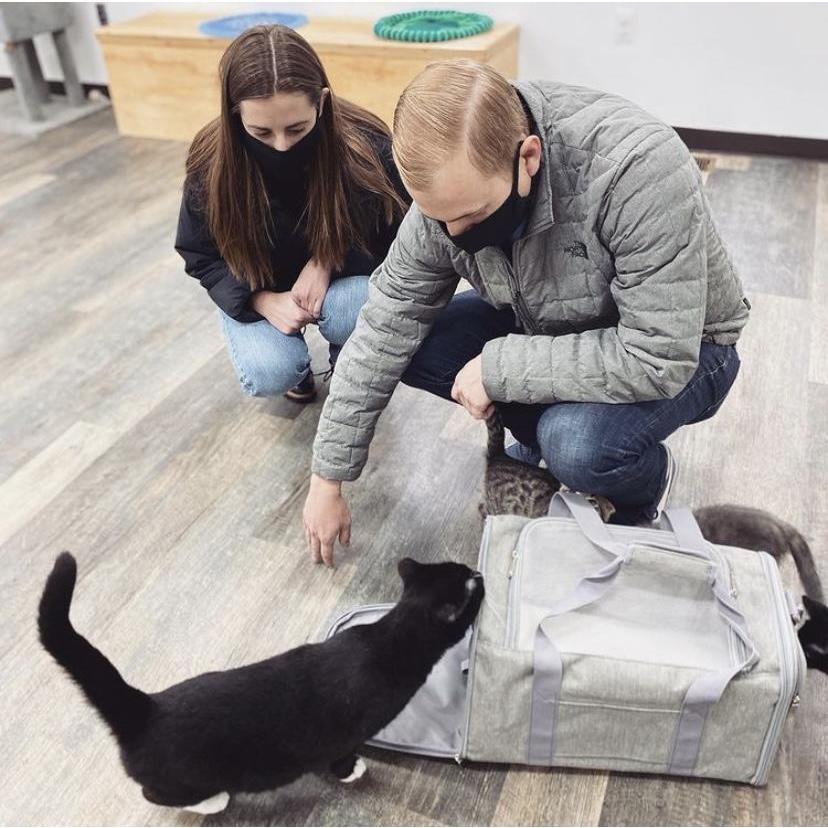 This is us adopting our cat, Gino. Immediately after this was 30 minutes of trying to convince him to get into the cat carrier.