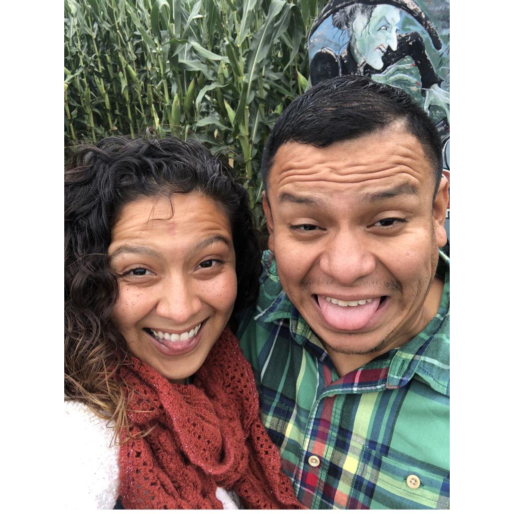 Pumpkin Picking