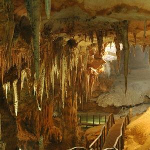 Tour of stalactites and stalagmites in Grotta del Fico
