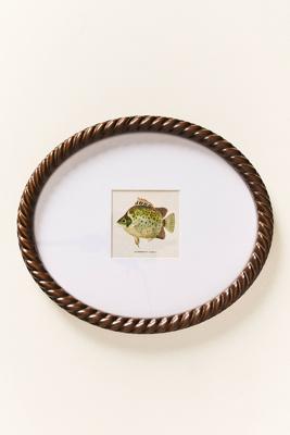 Dual Matted Rope Fish Frame
