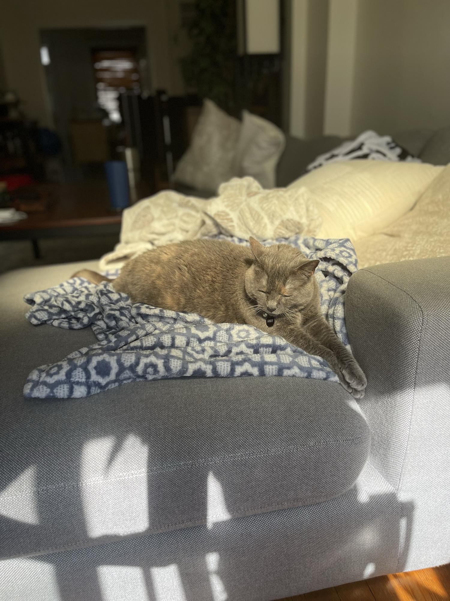 Because we are obsessed with her...