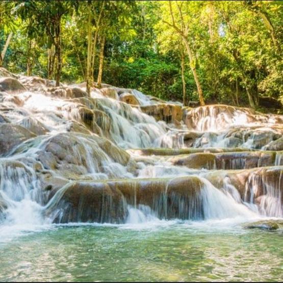Dunn’s River Falls Honeymoon Excursion