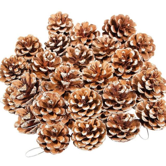 24PCS Natural Pine Cones Christmas Rustic Pine Cones Bulk Ornaments with String for Xmas Thanksgiving Fall Party Craft Decorations