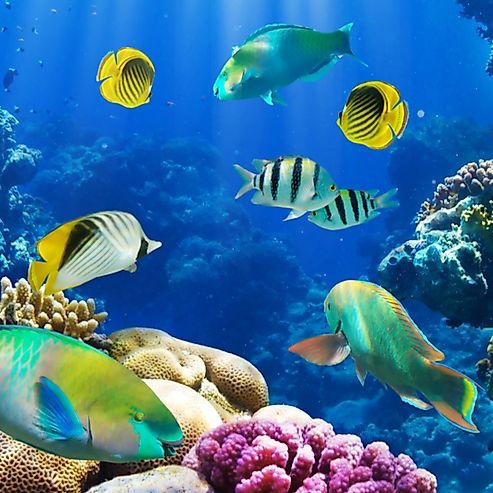 Great Lakes Aquarium Membership