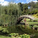 Huntington Gardens