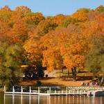Lake Geneva Shore Walk