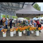 Vista Farmers Market