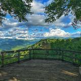 Roan Mountain State Park— Easy/Moderate Hiking + Exploring