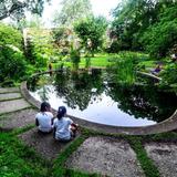 Beal Botanical Garden