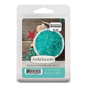 Eucalyptus & Sea Salt Fragrance Cubes