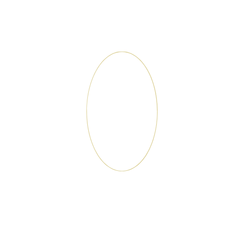 The Wedding Website of Eleni Haney and Connor Haney