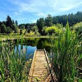 Miller Woods Conservation Area