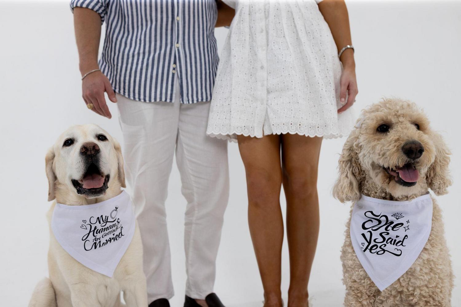 The Wedding Website of Alyssa Barkin and Hugh Cook