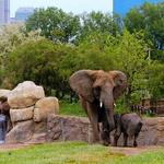 Indianapolis Zoo