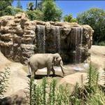 Los Angeles Zoo