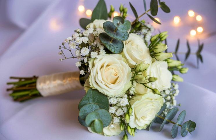 The Wedding Website of Alana Bauer and Dylan Jones