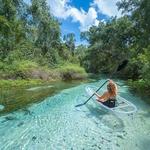 Wekiwa Springs