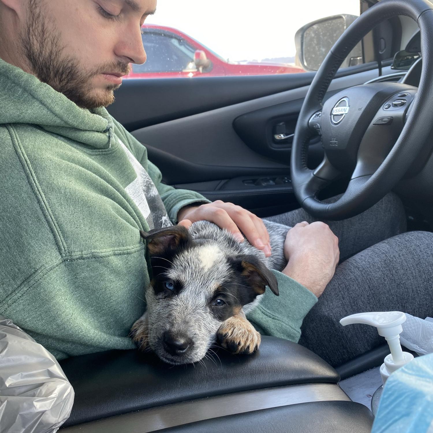 We got our puppy Blue!