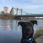 Heritage Trail