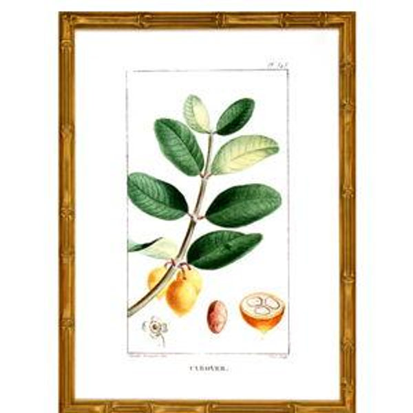 Tropical Botanical V Artwork in Gold Frame