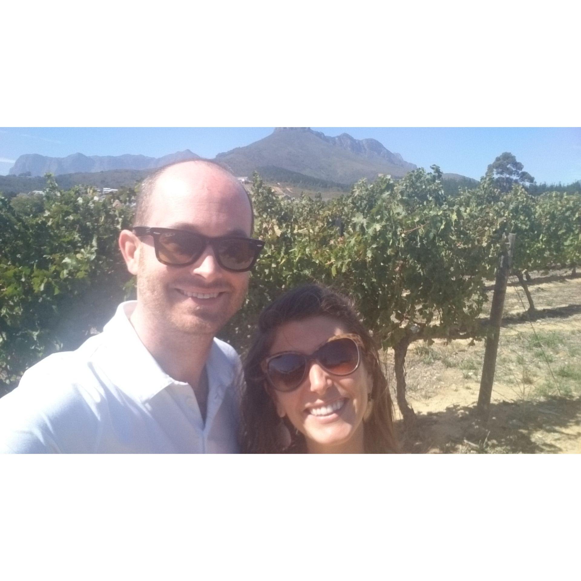 Cape Winelands, 2016