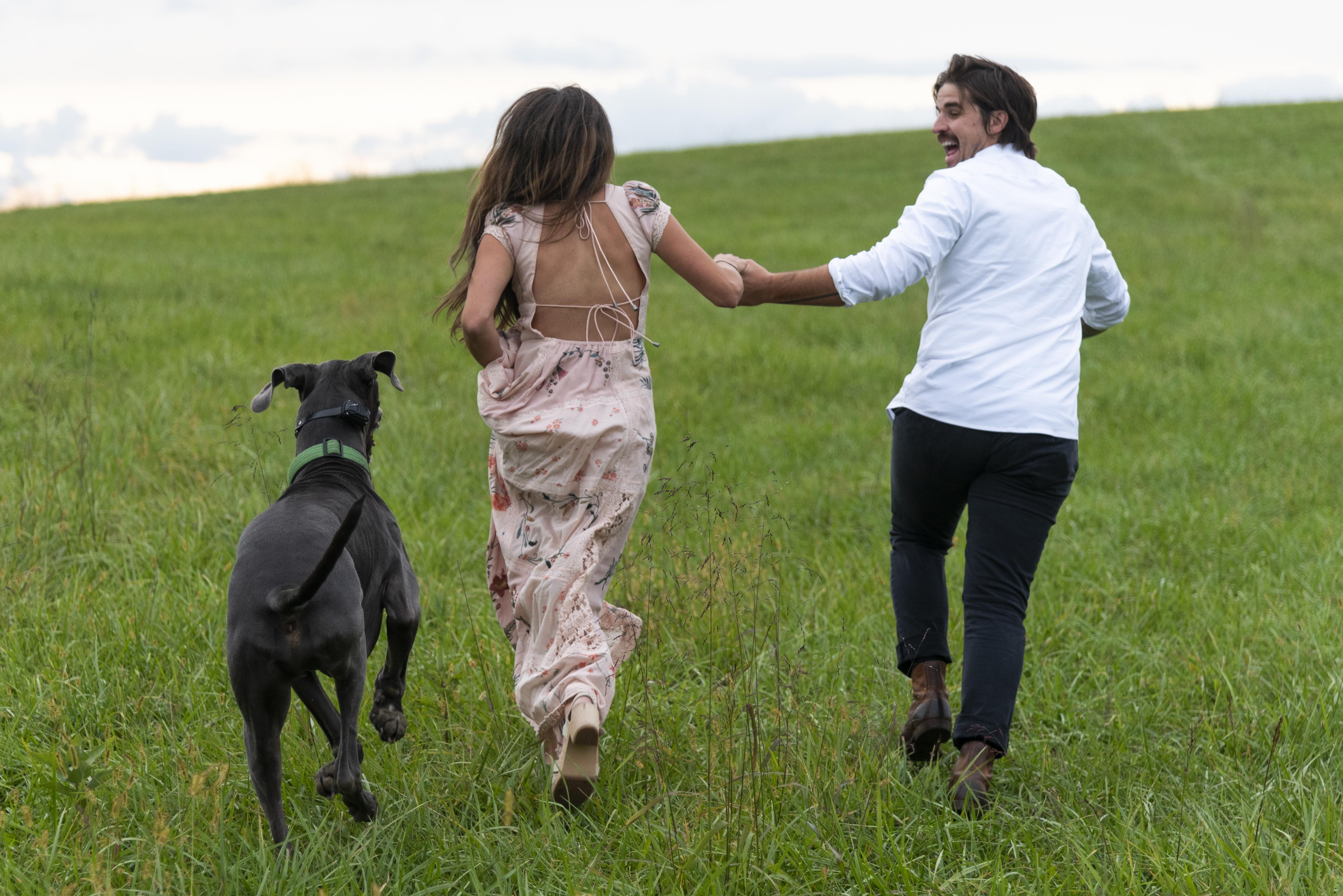 The Wedding Website of David Ferguson and Emily Beehler