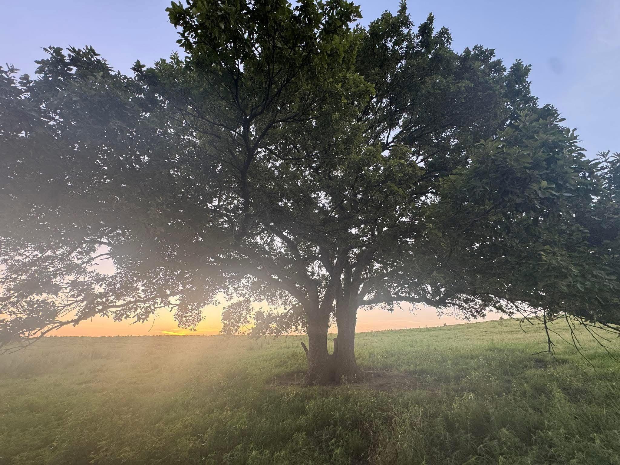 The Wedding Website of Julia Siegle and Luke Crabtree