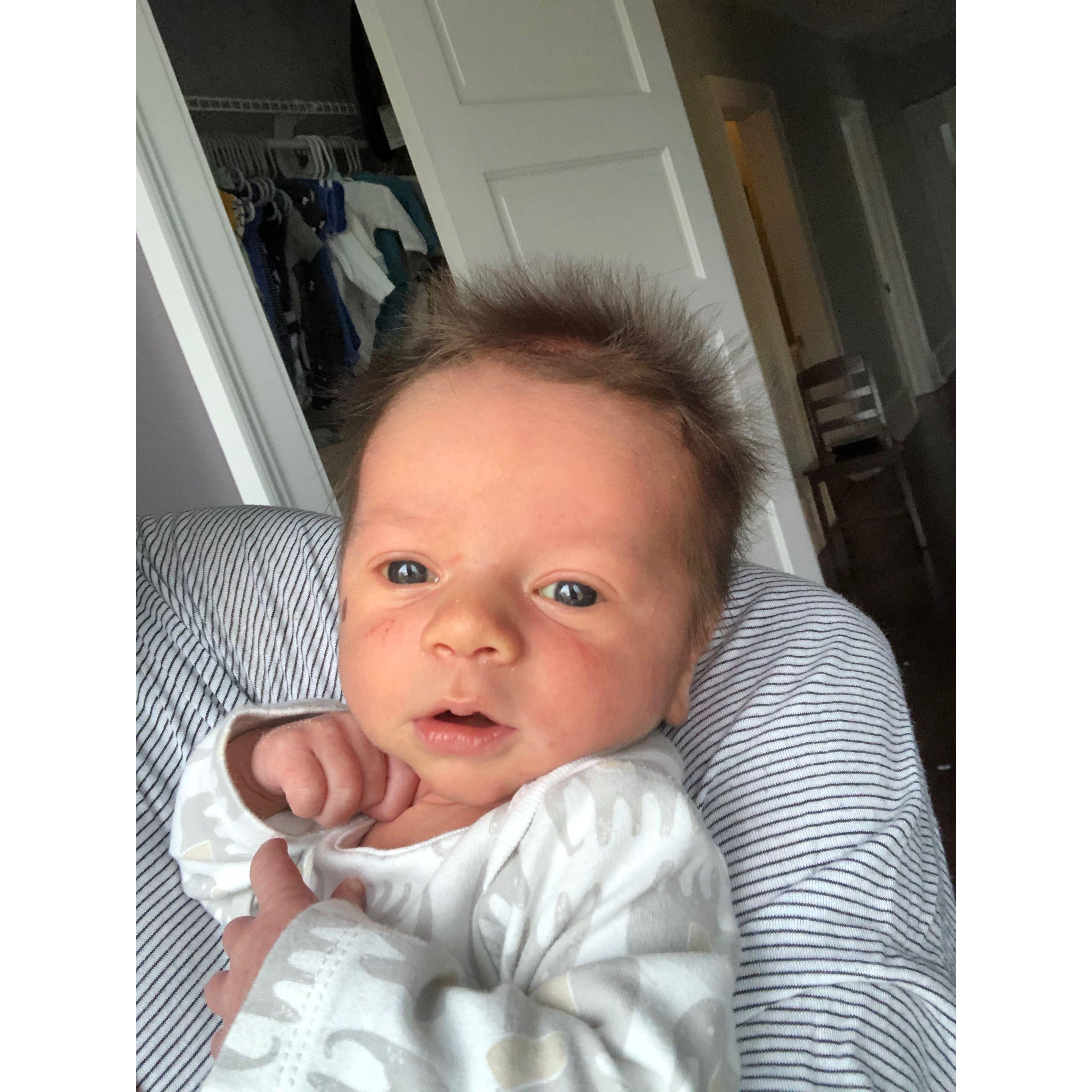 Fresh Hugo Amy 2019