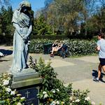 Assistens Cemetery