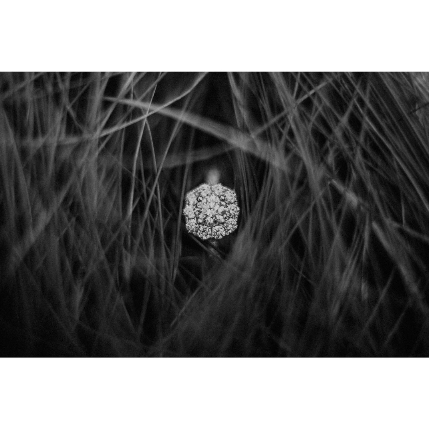 A sparkly item in nature 2 :)

Photo Credit: May Iosotaluno