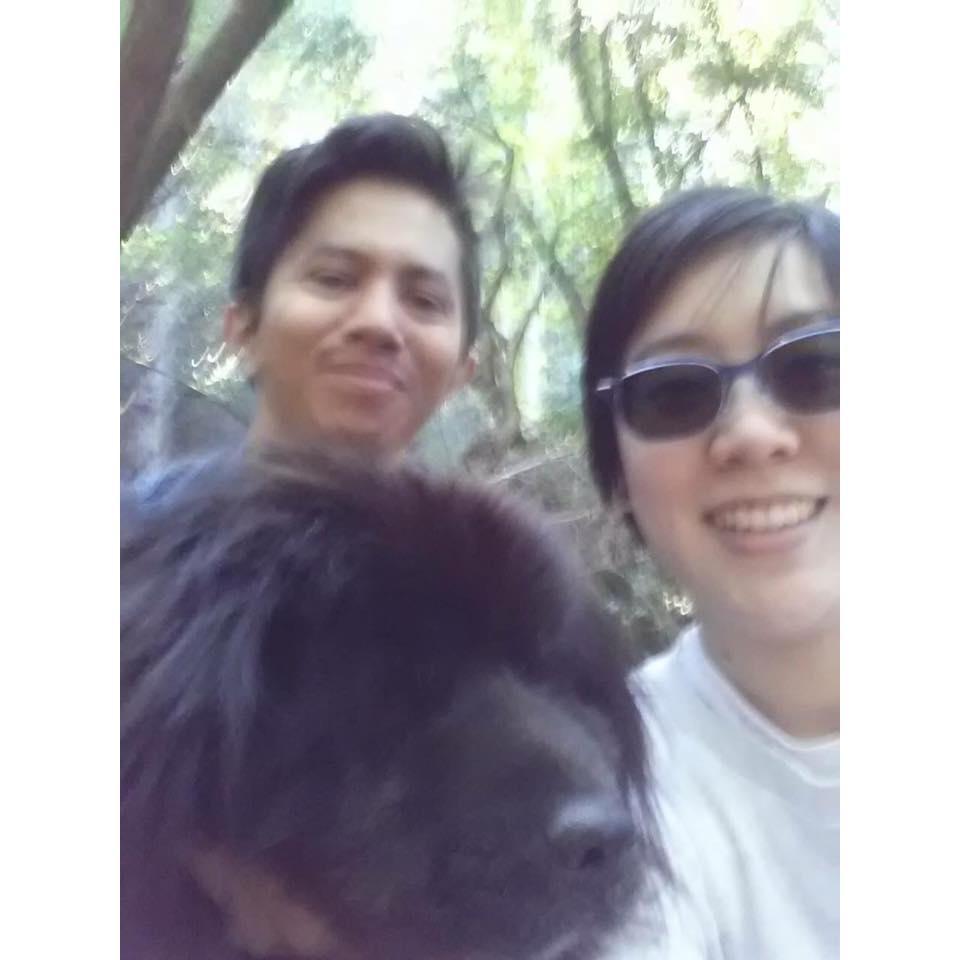 Family photo hiking through redwood trees somehwere north 2015