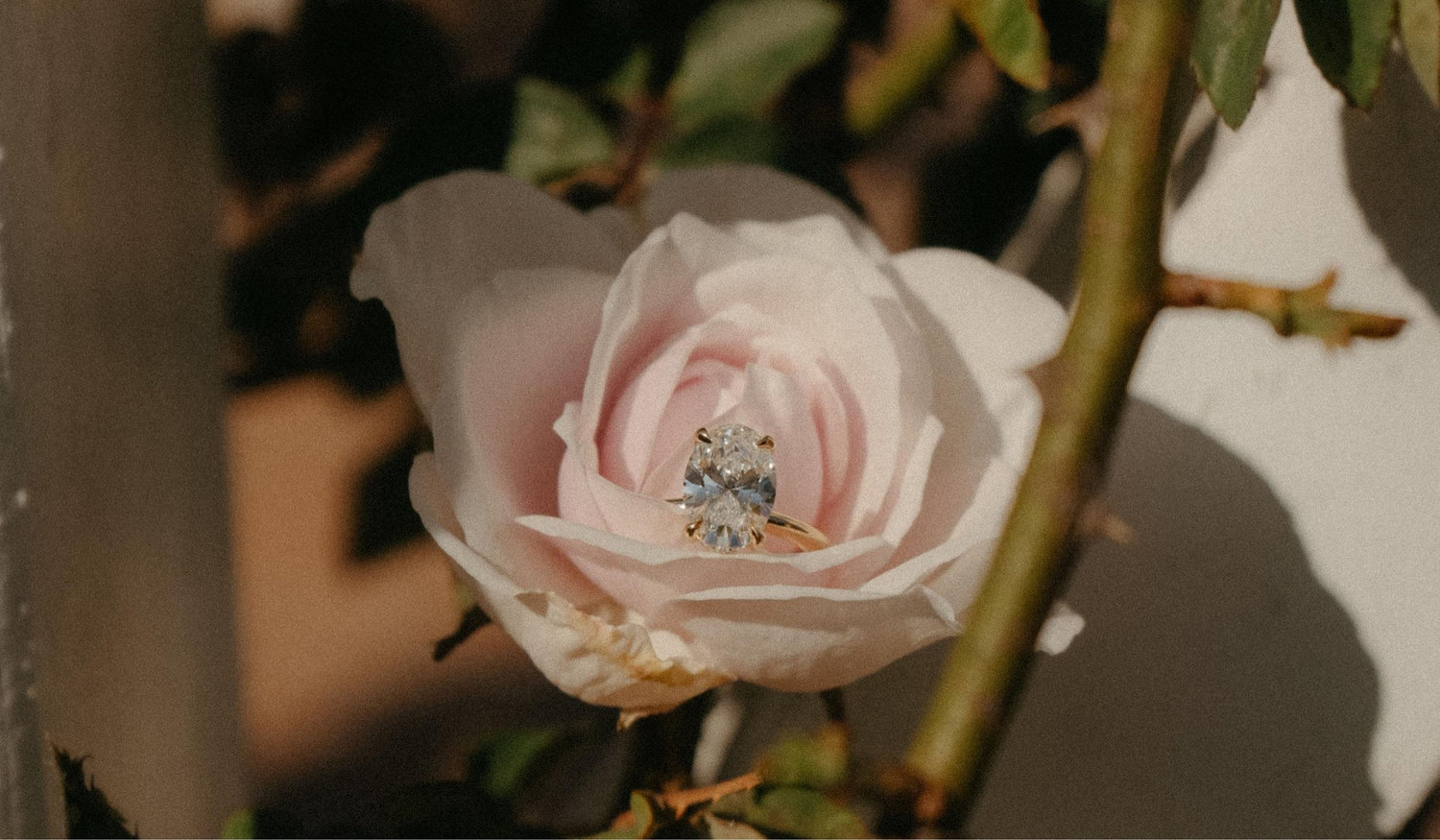 The Wedding Website of Jazmin Mayen and Sergio Maradiaga