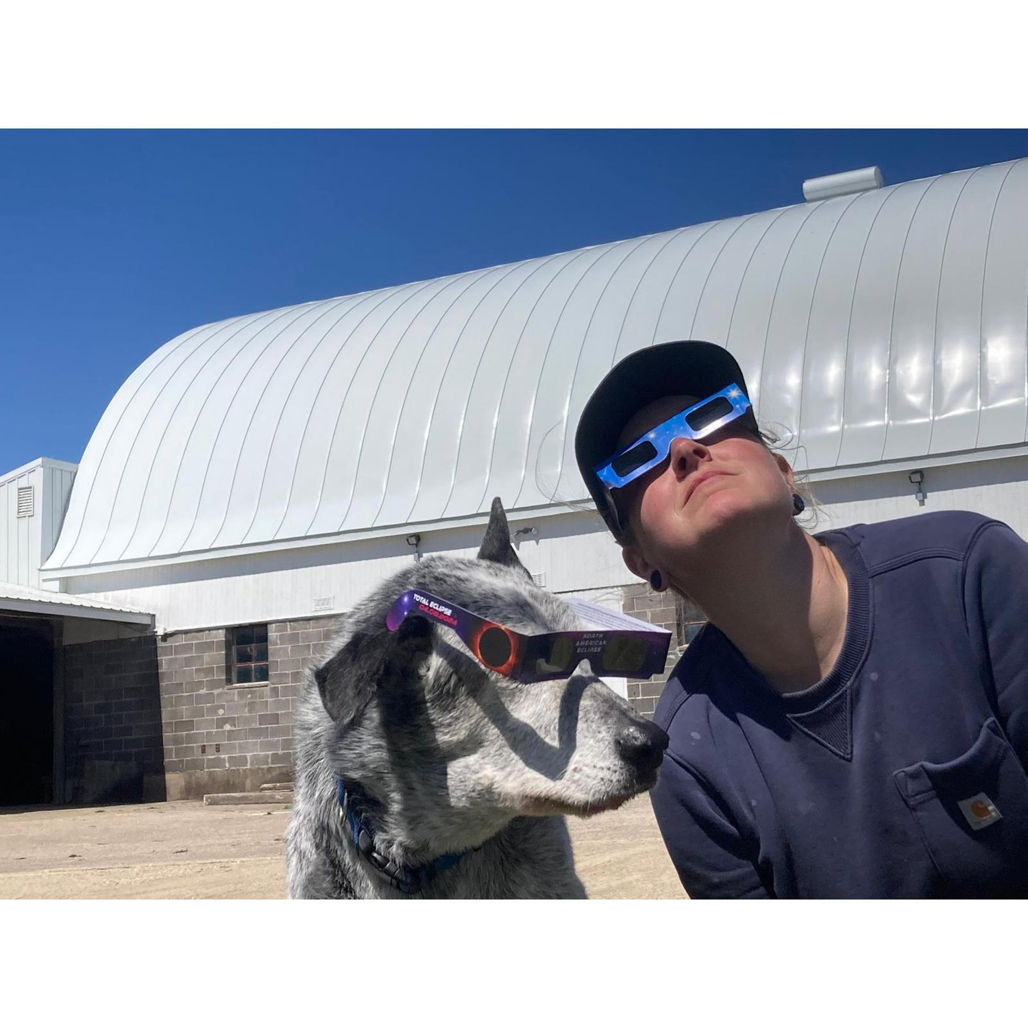 Enjoying the total solar eclipse with cashdog