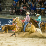 Jackson Hole Rodeo
