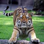 Cape May County Park & Zoo